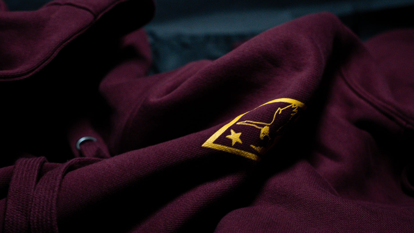 TEAM HOODIE - AIRBORNE RED - GOLD