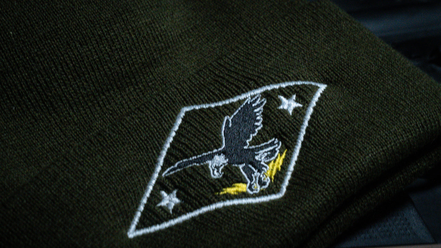 TEAM WATCH CAP - RAID GREEN